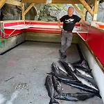Kyrping Camping Kyrping