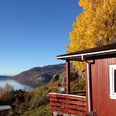 Orman Evi Kyrping Camping Kyrping