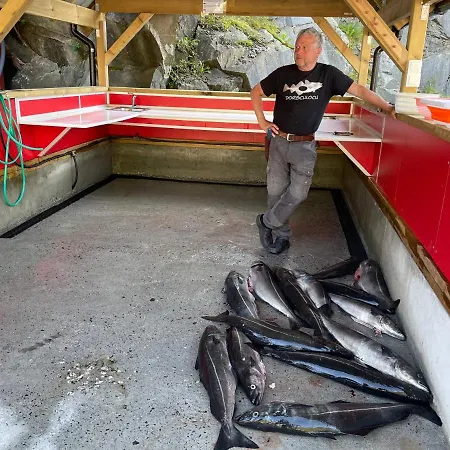 Kyrping Camping Kyrping