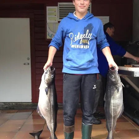 ロッジ Kyrping Camping Kyrping